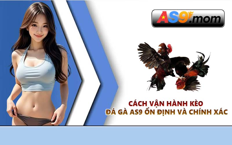 Cách vận hành kèo đá gà AS9 ổn định và chính xác
