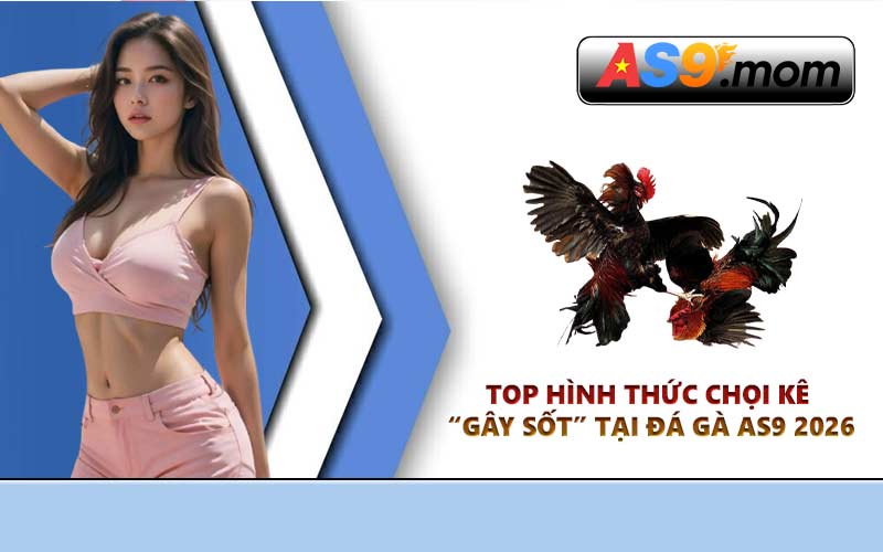 Top hình thức chọi kê “gây sốt” tại Đá Gà AS9 2026